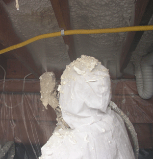  MO crawl space insulation